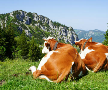 Klassenfahrt M�nchener Umland