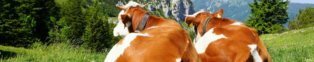 Klassenfahrt M�nchener Umland &ndash; Bild 2