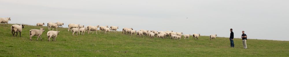 Klassenfahrt Nordsee – Bild 2