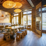 Programmpaket VEGAN &ndash; Klassenfahrt Dresden von Jugendtours