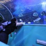 Programmpaket INSEL FEHMARN &ndash; Klassenfahrt L�beck von Jugendtours