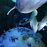 Programmpaket STRALSUND &ndash; Klassenfahrt Jugenddorf Wittow von Jugendtours