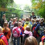 Programmpaket KINDERTIERPARK – Klassenfahrt Prieros am Huschtesee von Jugendtours
