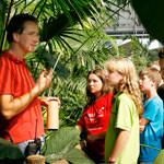 Programmpaket TROPICAL ISLANDS – Klassenfahrt KiEZ Hlzerner See von Jugendtours
