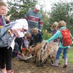 Programmpaket ERLEBEN & STAUNEN – Klassenfahrt Ummanz - Insel Rgen von Jugendtours