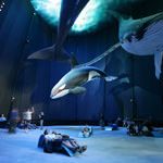 Programmpaket STRALSUND – Klassenfahrt Ummanz - Insel Rgen von Jugendtours