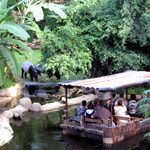 Programmpaket GONDWANALAND – Klassenfahrt Bad Schmiedeberg von Jugendtours