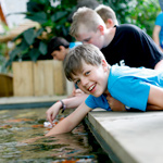 Programmpaket STAUNEN & KLETTERN – Klassenfahrt Trixi Ferienpark Zittauer Gebirge von Jugendtours