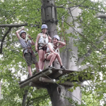 Programmpaket BAUMKRONENPFAD – Klassenfahrt KiEZ Feuerkuppe Strauberg von Jugendtours