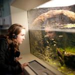 Programmpaket WAREN – Klassenfahrt Kummerower See von Jugendtours