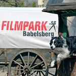 Programmpaket FILMPARK BABELSBERG – Klassenfahrt KiEZ Hlzerner See von Jugendtours