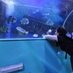 Programmpaket FUN – Klassenfahrt Dreilndereck Rhn von Jugendtours