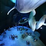 Programmpaket OZEANEUM STRALSUND – Klassenfahrt Darer Bodden von Jugendtours