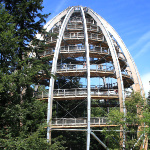 Programmpaket ERLEBNIS BAUMWIPFELPFAD – Klassenfahrt Bayerischer Wald und Passau von Jugendtours