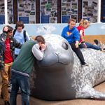 Programmpaket WISSEN – Klassenfahrt Rostock von Jugendtours