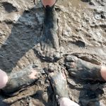 Programmpaket MEER – Klassenfahrt Cuxhaven von Jugendtours