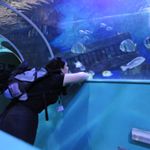 Programmpaket NATUR – Klassenfahrt Hannover von Jugendtours