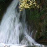 Programmpaket NATUR - RHEINFALL – Klassenfahrt Meersburg von Jugendtours
