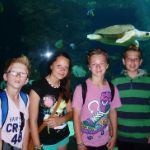 Programmpaket FUN – Klassenfahrt KiEZ Am Filzteich Schneeberg von Jugendtours