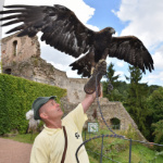 Programmpaket SCHLOSS LAUENSTEIN – Klassenfahrt Altenberg von Jugendtours