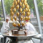 Programmpaket FUN – Klassenfahrt Kln von Jugendtours