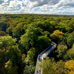 Programmpaket KOSYSTEM WALD – Klassenfahrt Eisenach von Jugendtours