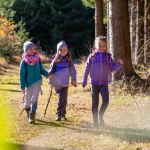 Programmpaket NATUR – Klassenfahrt Sportpark Rabenberg - Breitenbrunn von Jugendtours