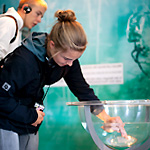 Programmpaket BNE PROGRAMM (BILDUNG NACHHALTIGE ENTWICKLUNG) – Klassenfahrt Wangerland von Jugendtours