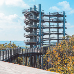 Programmpaket BAUMWIPFELPFAD SAARSCHLEIFE – Klassenfahrt Saarbrcken von Jugendtours