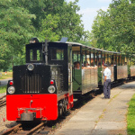 Programmpaket WALDEISENBAHN MUSKAU – Klassenfahrt KiEZ Am Braunsteich Weiwasser von Jugendtours