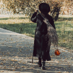 Programmpaket FUN – Klassenfahrt Thale von Jugendtours