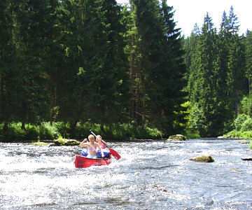Programmausflug Klassenfahrt Bayerischer Wald und Passau Programmausflug Klassenfahrt Bayerischer Wald und Passau