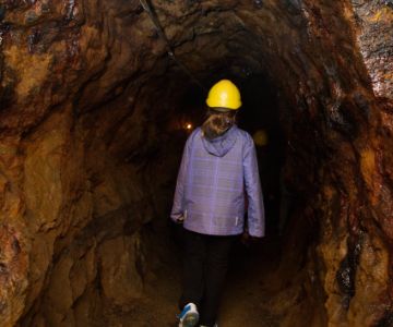 Programmausflug Klassenfahrt KiEZ Waldpark Grünheide Programmausflug Klassenfahrt KiEZ Waldpark Grünheide