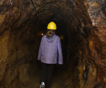Programmausflug Klassenfahrt Plaue