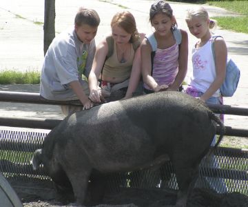 Klassenfahrt Prieros am Huschtesee Klassenfahrt Prieros am Huschtesee