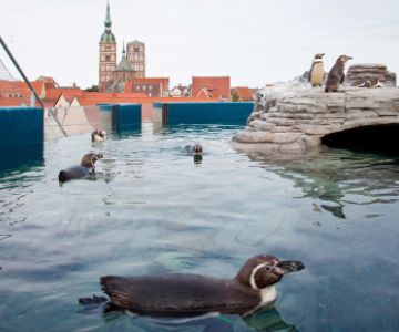 Klassenfahrt Stralsund und Ozeaneum Klassenfahrt Stralsund und Ozeaneum
