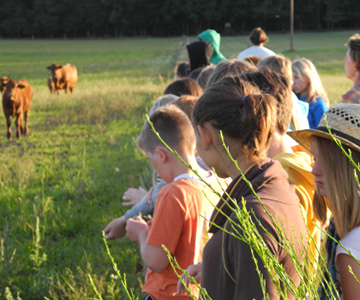 Impressionen von der Klassenfahrt 4 – Klassenfahrt Darer Bodden von Jugendtours