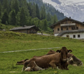 6 – Klassenfahrt Schliersee von Jugendtours