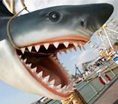 7 – Klassenfahrt Dortmund von Jugendtours