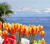 6 – Klassenfahrt Meersburg von Jugendtours