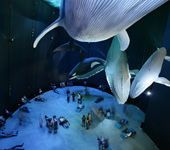 5 – Klassenfahrt Stralsund und Ozeaneum von Jugendtours
