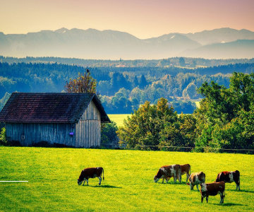 Impressionen von der Klassenfahrt 4 – Klassenfahrt Mnchener Umland von Jugendtours