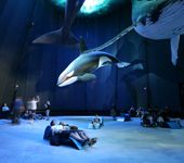 7 – Klassenfahrt Prora von Jugendtours