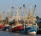 5 – Klassenfahrt Cuxhaven von Jugendtours