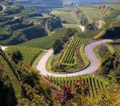 7 – Klassenfahrt Freiburg im Breisgau von Jugendtours