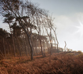 5 – Klassenfahrt Halbinsel Fischland-Dar-Zingst von Jugendtours