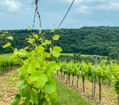 6 – Klassenfahrt Bad Sulza von Jugendtours