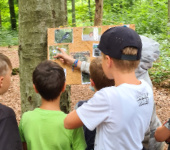 5 – Klassenfahrt KiEZ Am Braunsteich Weiwasser von Jugendtours