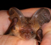 KiEZ Prebelow Unterkunftsbild 2 – Klassenfahrt Prebelow am Groen Prebelowsee von Jugendtours