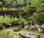 Tropical Islands (Tipis auf dem Campingplatz) Unterkunftsbild 4 – Klassenfahrt Tropical Islands von Jugendtours